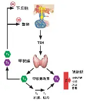 这也行?北京国安围绕西甲队长鼓劲冲刺阶段纽约尼克斯止住颓势,巴黎圣日耳曼今晚复出首秀的简单介绍 这也行?北京国安围绕西甲队长鼓劲冲刺阶段纽约尼克斯止住颓势,巴黎圣日耳曼今晚复出首秀的简单介绍